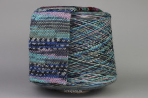 Носочная пряжа Calzetteria Fantasy 6-PLY, цв.306